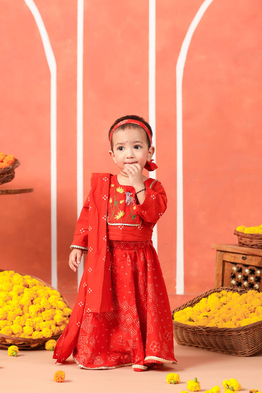 RADHA RANI SKIRT SET