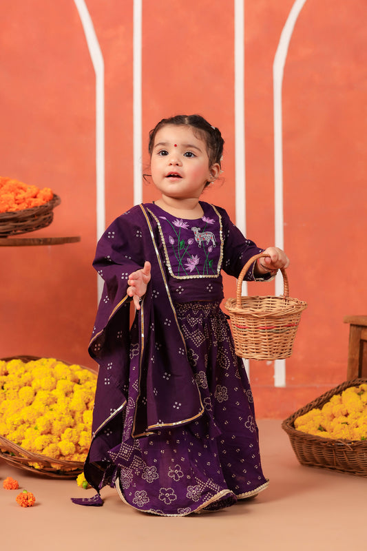 RADHA RANI SKIRT SET