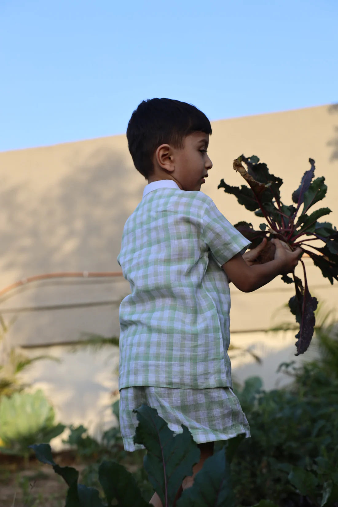 Verdant Checks Pure Linen Co-ord Set