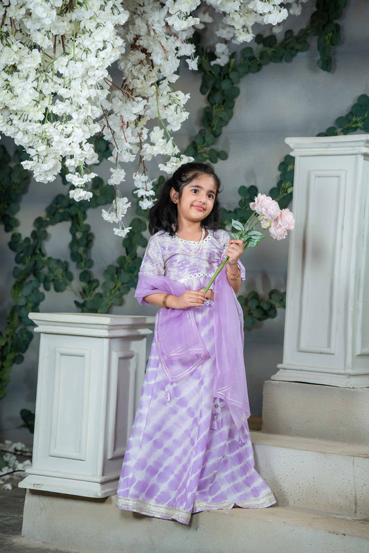Lila Lehenga Choli