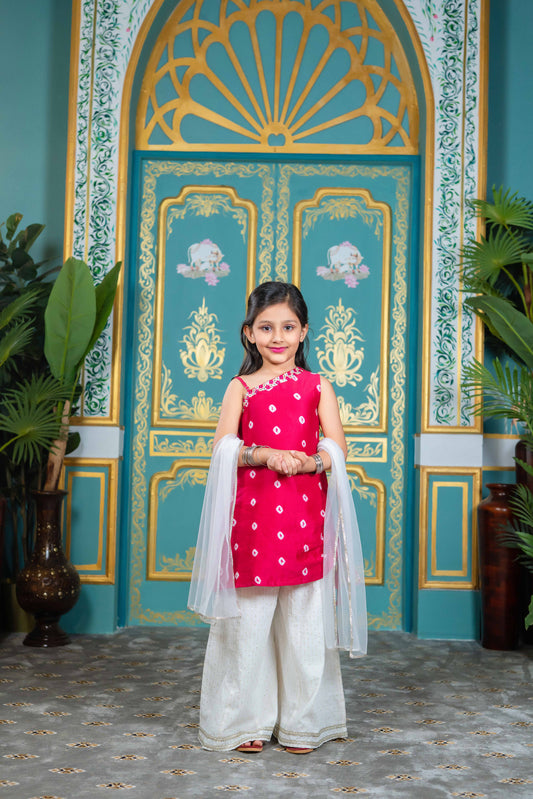 Fuschia One Shoulder Plazzo Set