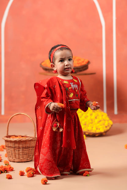 RADHA RANI SKIRT SET