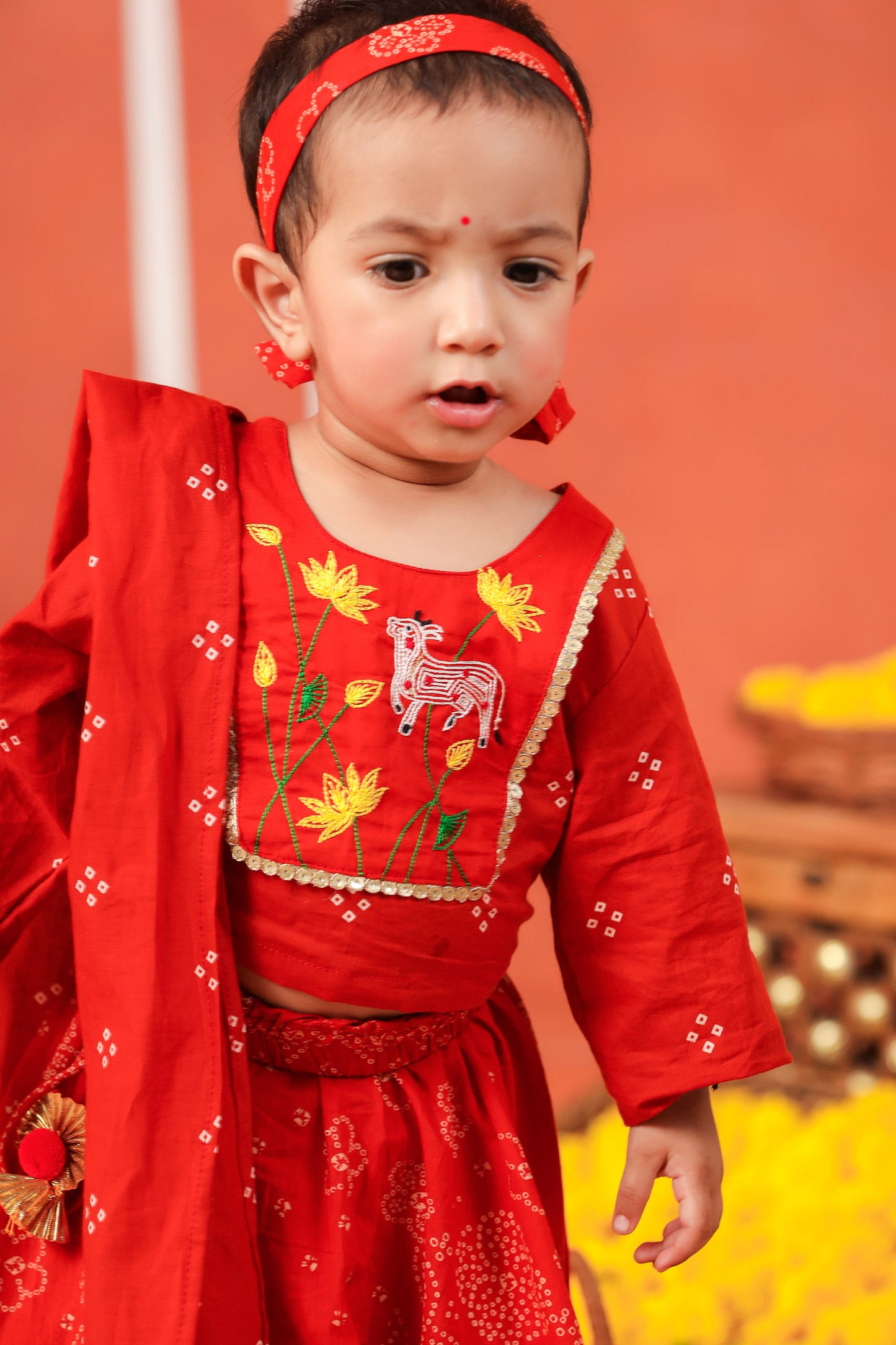 RADHA RANI SKIRT SET