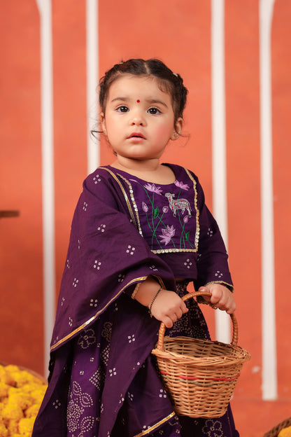 RADHA RANI SKIRT SET