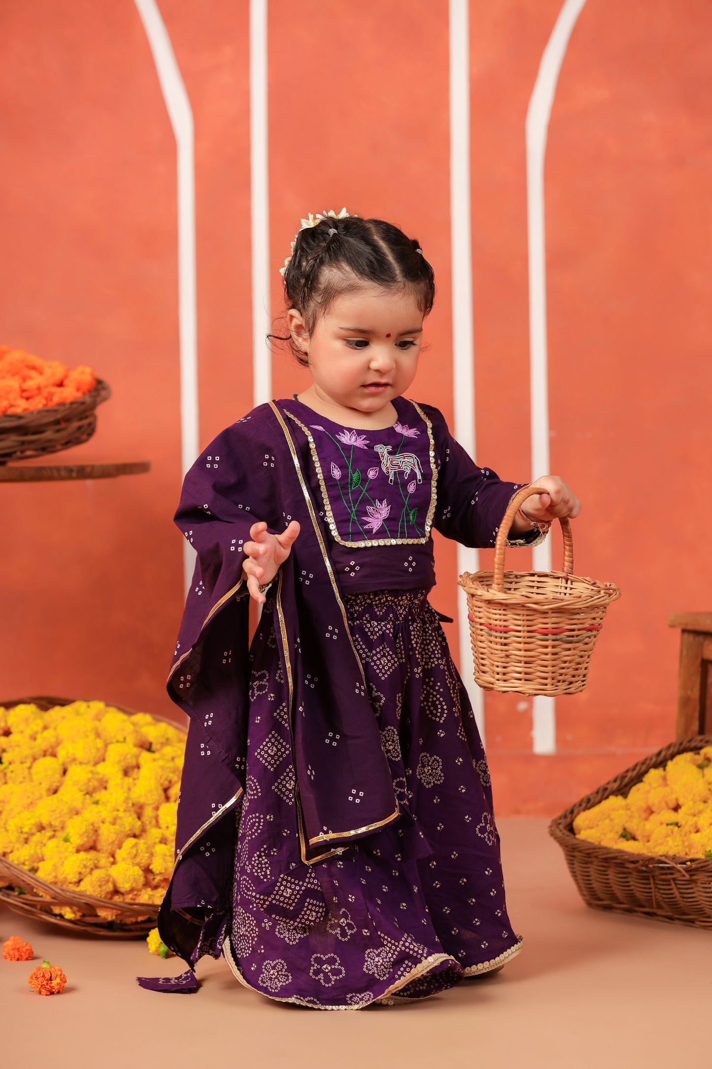 RADHA RANI SKIRT SET