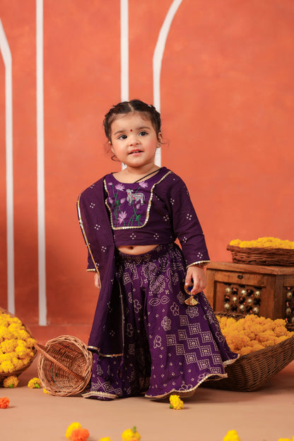 RADHA RANI SKIRT SET