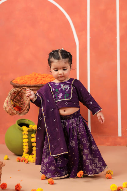 RADHA RANI SKIRT SET