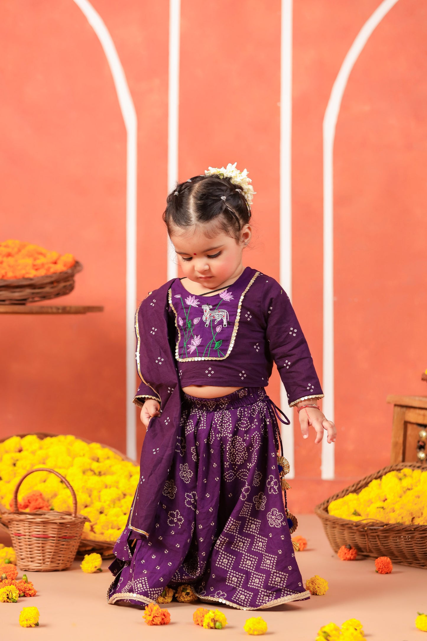 RADHA RANI SKIRT SET