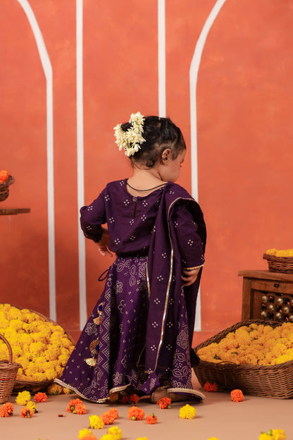 RADHA RANI SKIRT SET