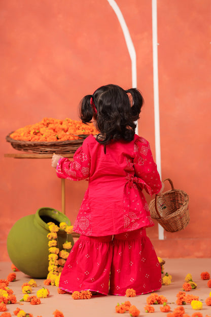 RADHA RANI SHARARA SET