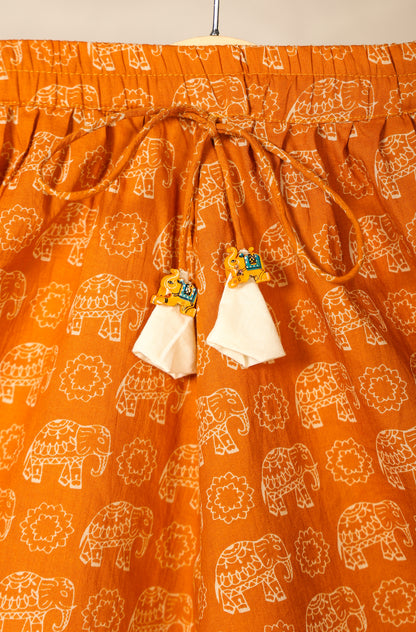 GIRL ELEPHANT SKIRT TOP SET