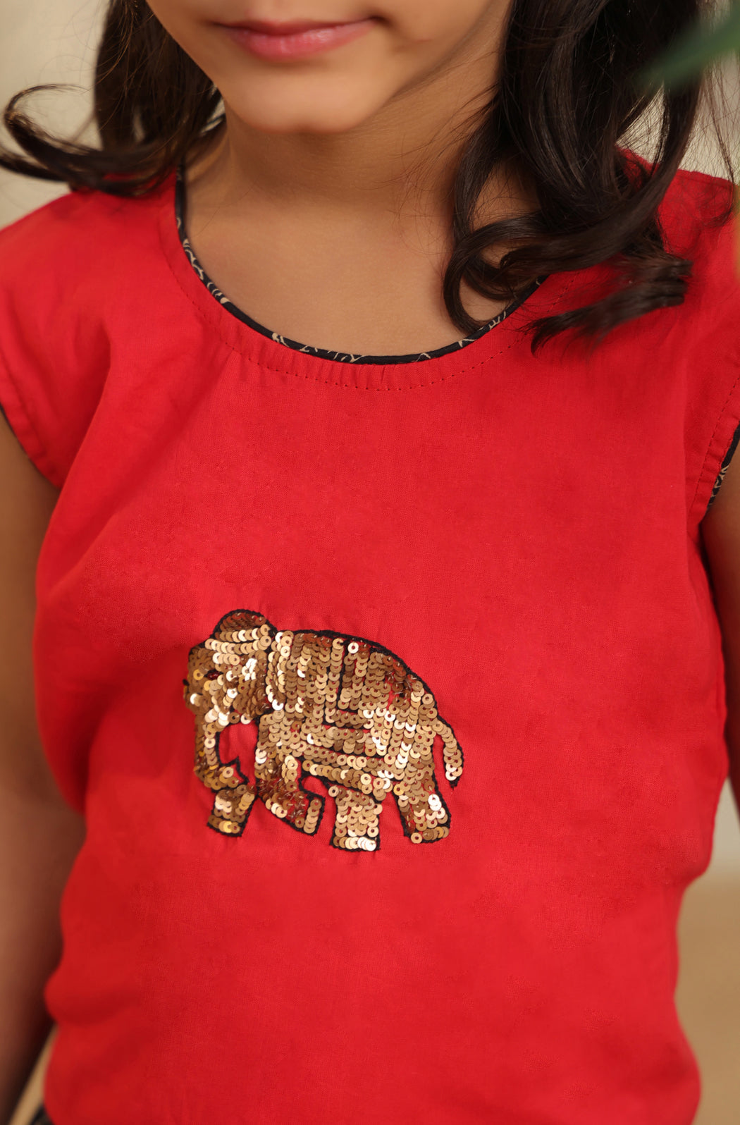 GIRL ELEPHANT SKIRT TOP SET