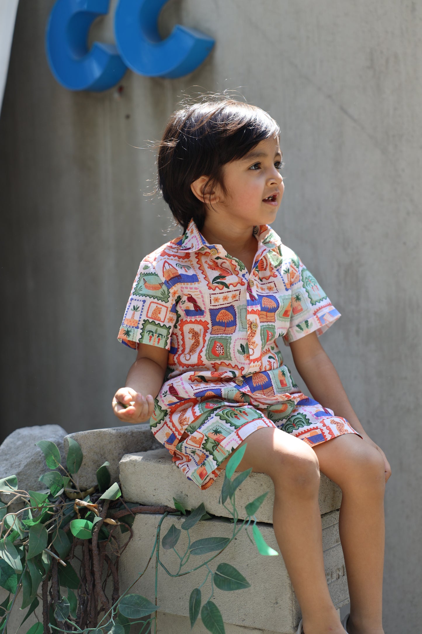The Wild Emblem Print Pure Linen Coord Set
