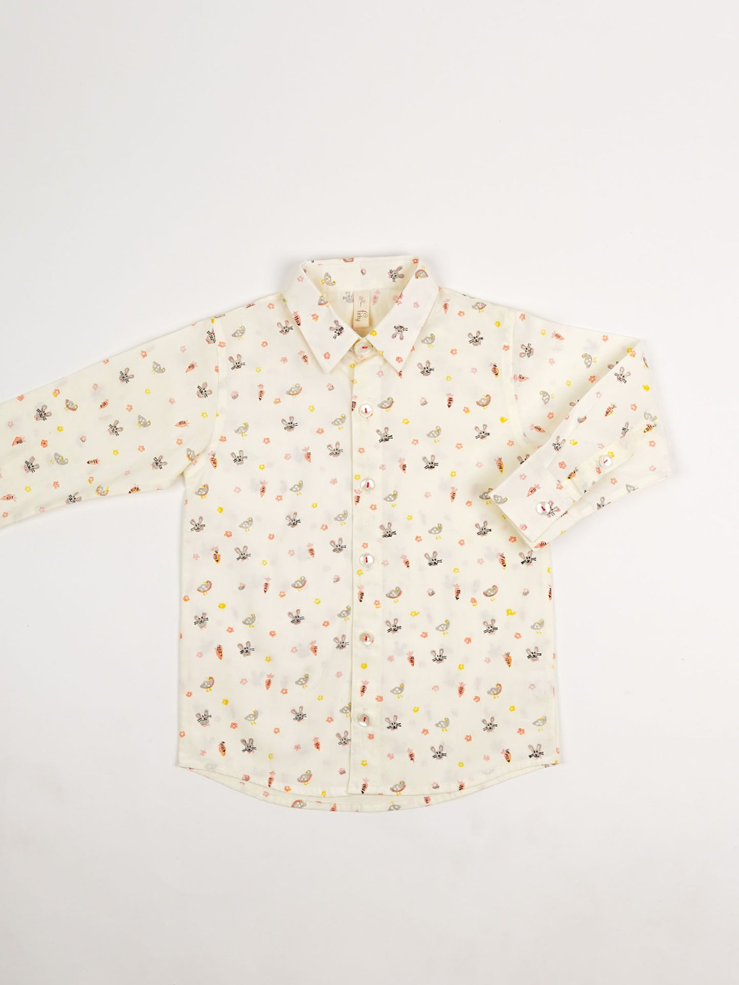 Bunny & Carrot Print Boys Collar Shirt