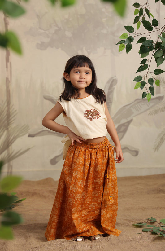 GIRL ELEPHANT SKIRT TOP SET