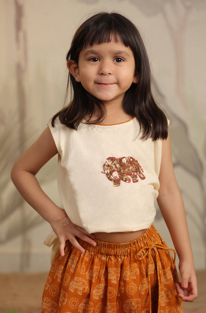 GIRL ELEPHANT SKIRT TOP SET