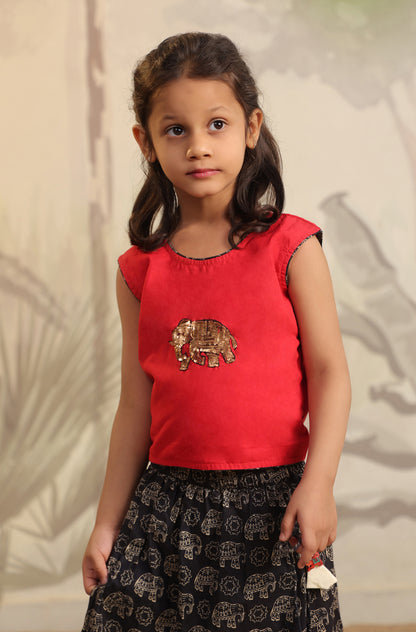 GIRL ELEPHANT SKIRT TOP SET