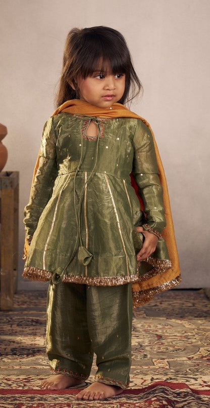 OLIVE PUNJABI SET