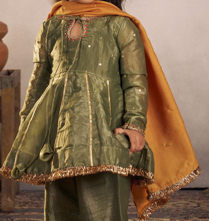 OLIVE PUNJABI SET