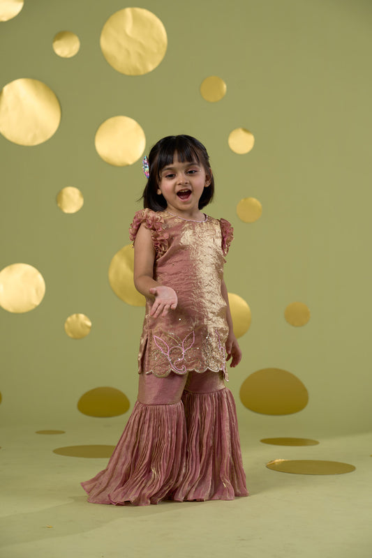 PINK BIRD SHARARA MIRROR SET