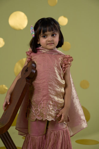 PINK BIRD SHARARA MIRROR SET