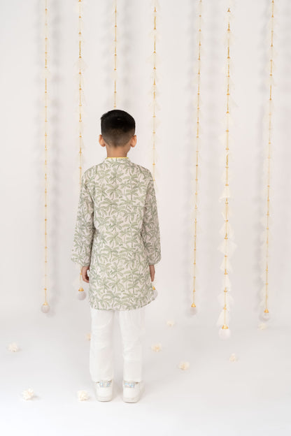 Botanical Grove  boys Kurta Set