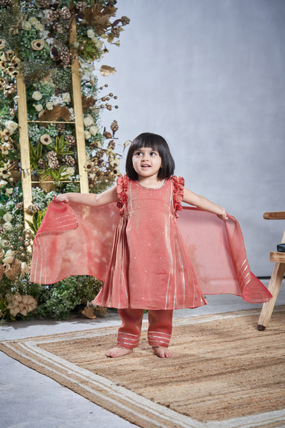 TISSUE SALWAR KURTA SET